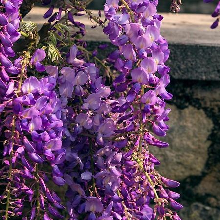 Il Glicine B&B Ristorante Cazzago San Martino Exteriér fotografie