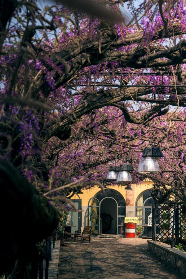 Il Glicine B&B Ristorante Cazzago San Martino Exteriér fotografie
