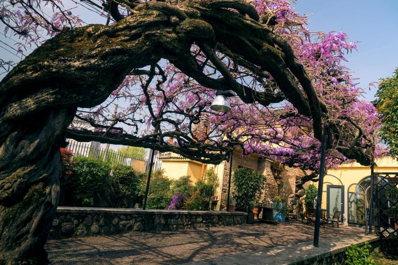 Il Glicine B&B Ristorante Cazzago San Martino Exteriér fotografie