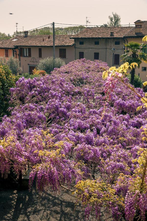 Il Glicine B&B Ristorante Cazzago San Martino Exteriér fotografie