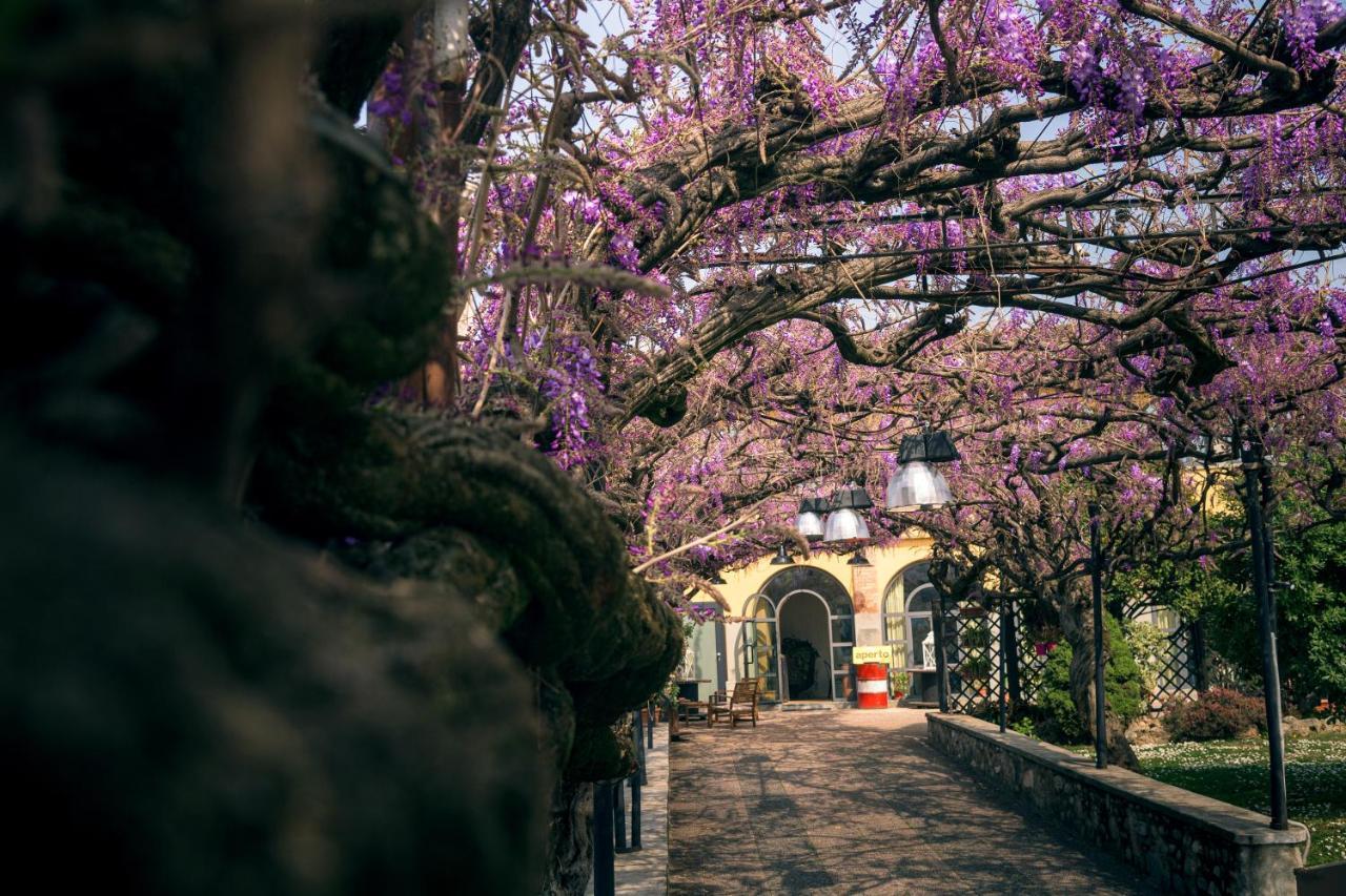Il Glicine B&B Ristorante Cazzago San Martino Exteriér fotografie